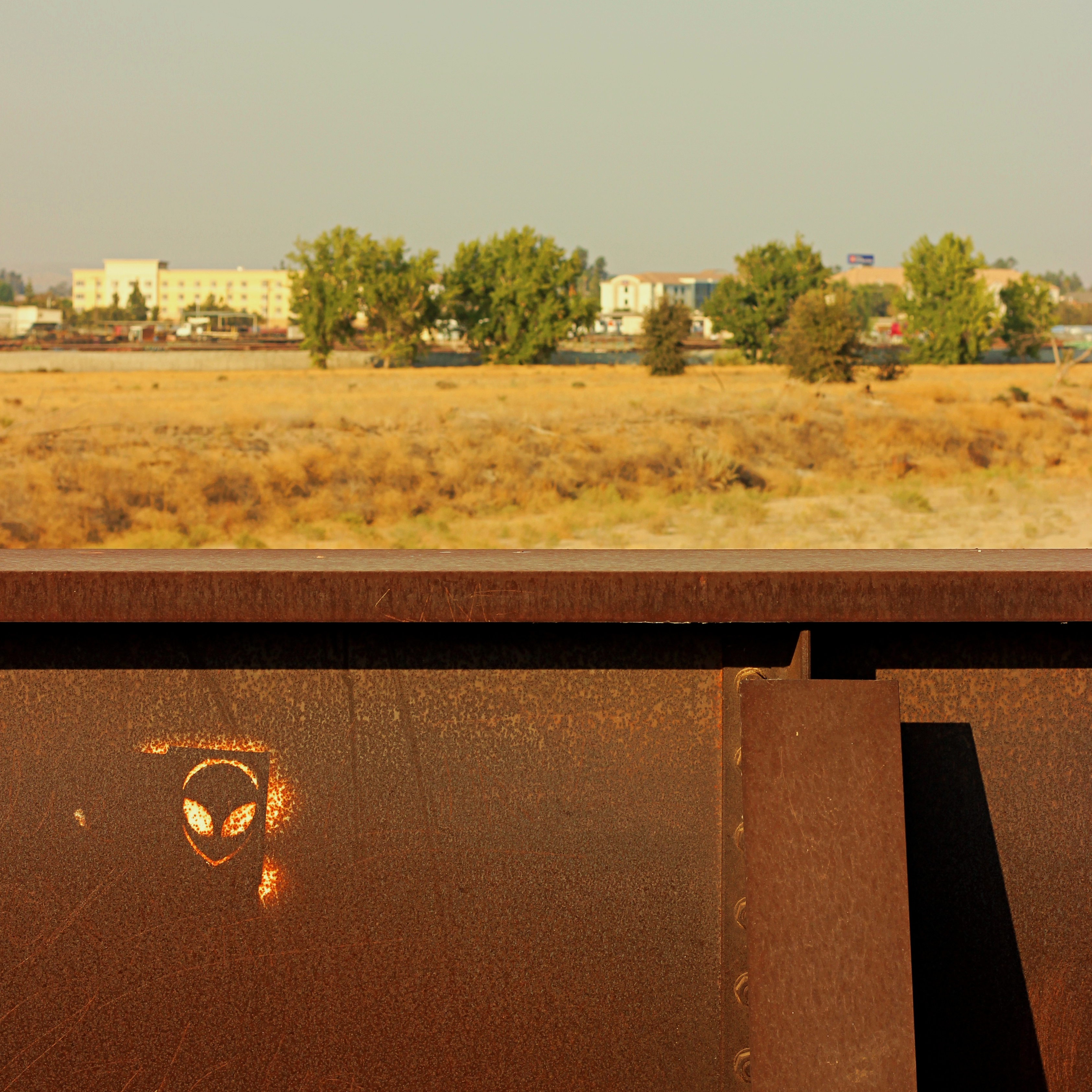 a rusty stencil of an alien head painted on an iron fence in the foreround, trees and distant buildings in the background
