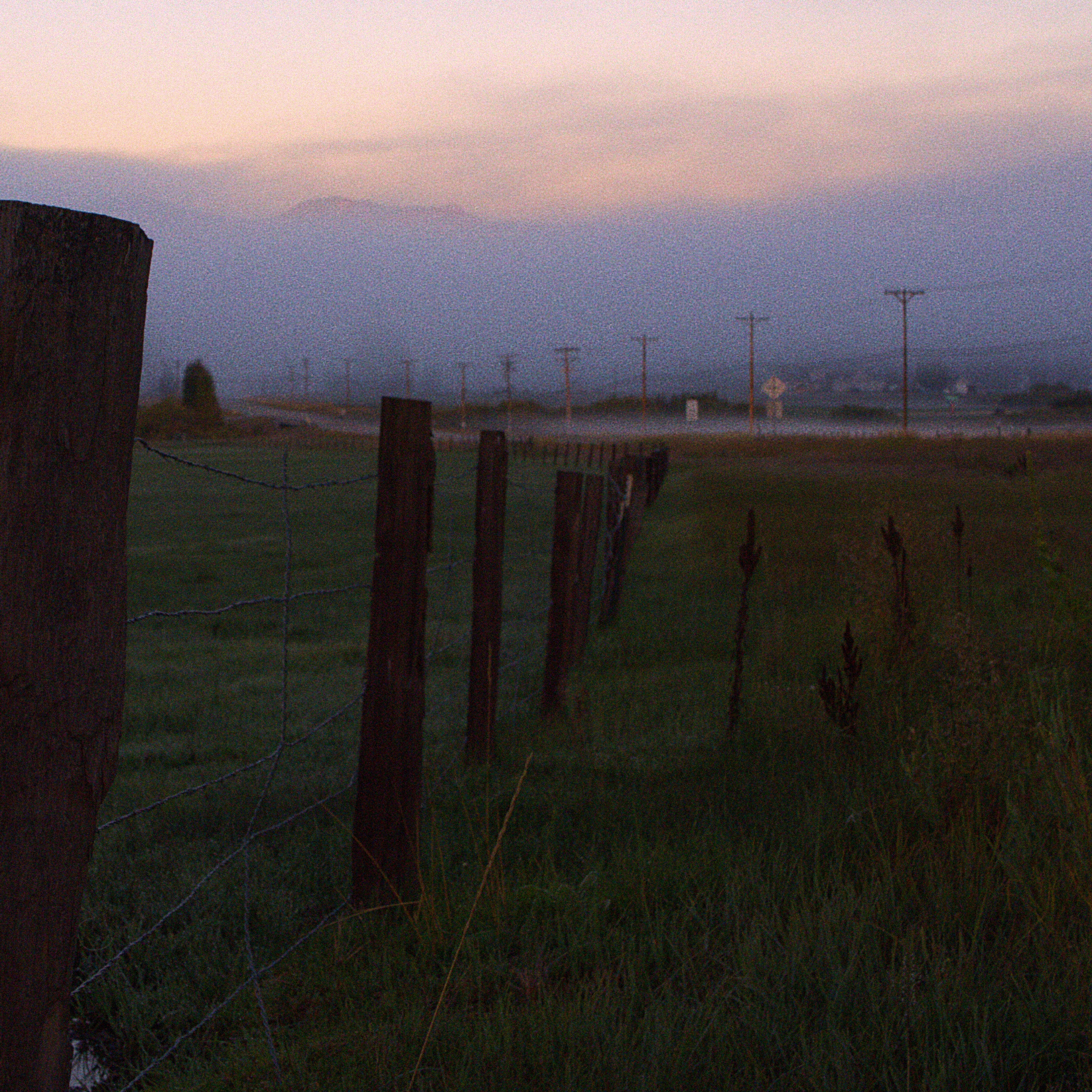 wooden fence posts in a cold misty field at dawn