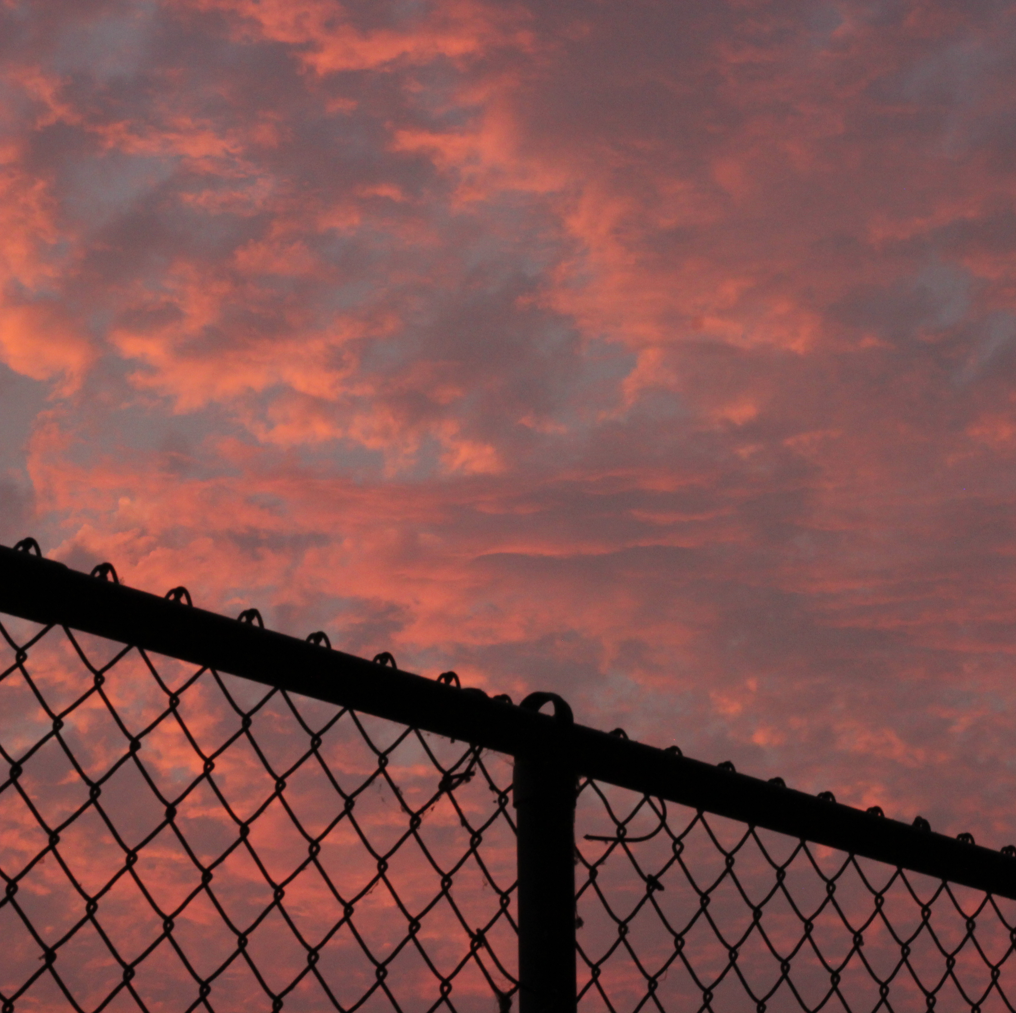 pink and blue sunset clouds with the silhouette of a chainlink fence in front