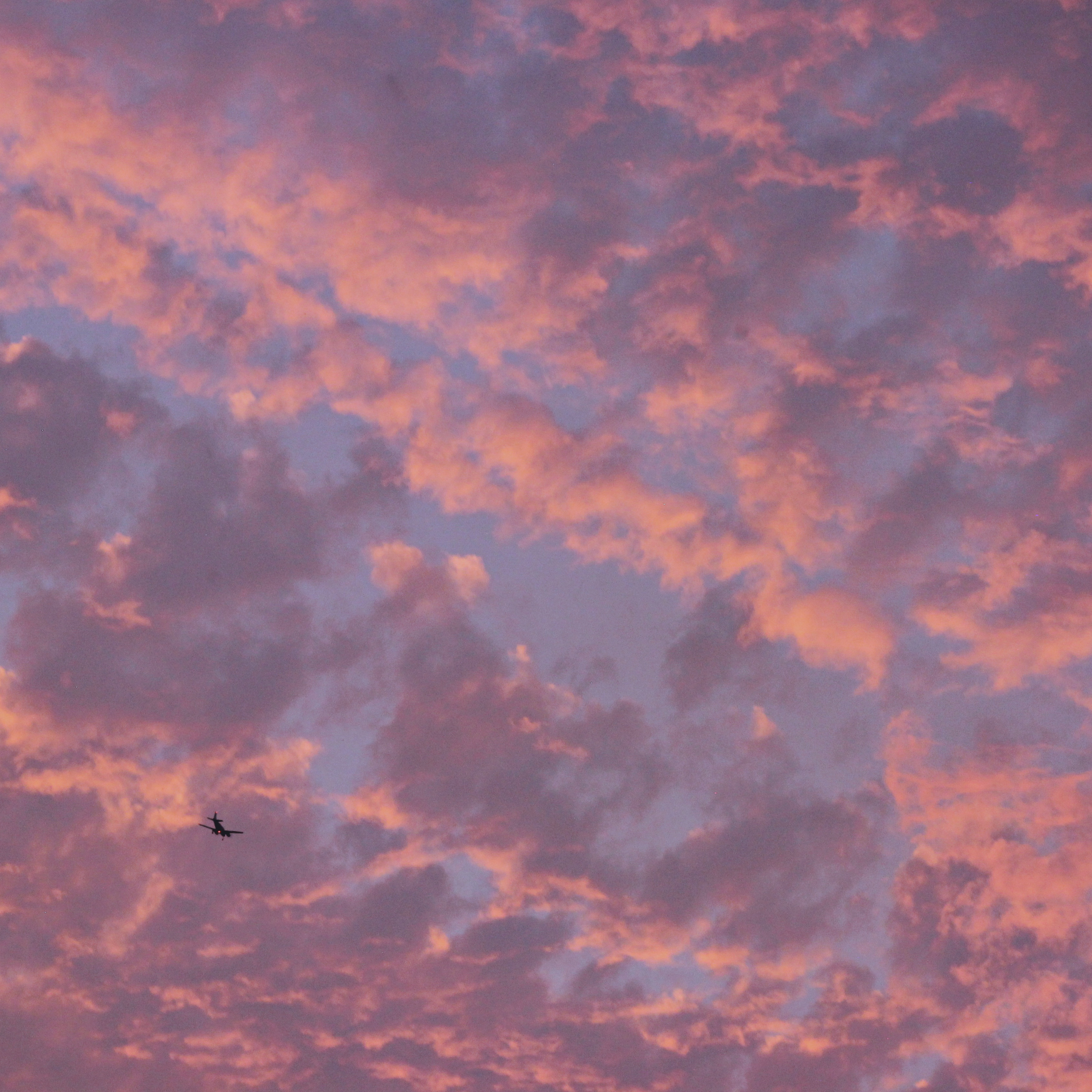 dense pink clouds with a small silhouette of a passing airplane