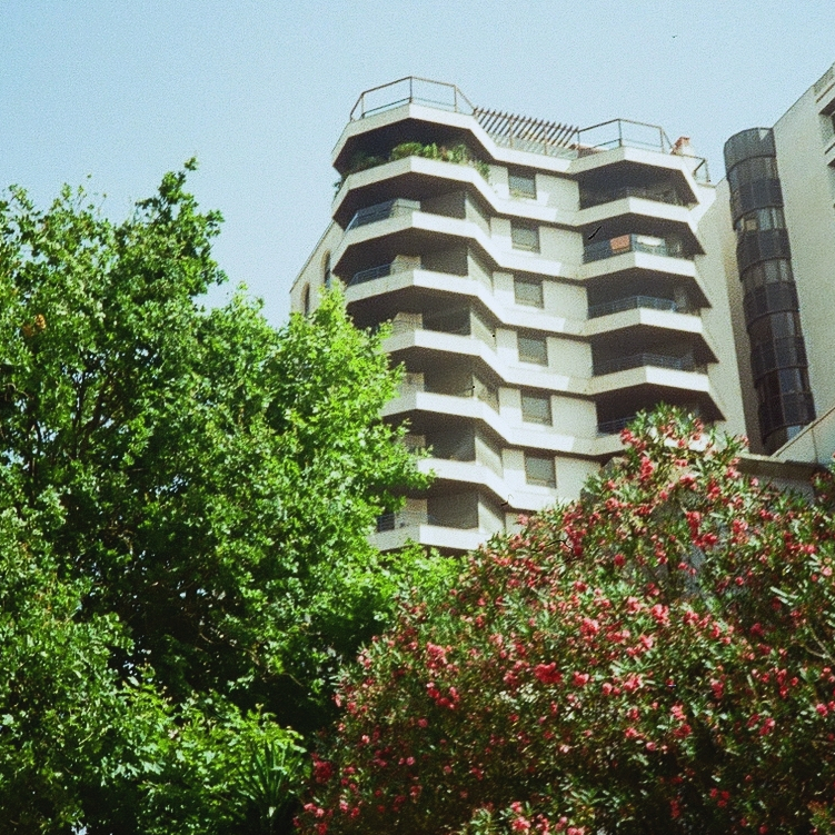 high rise building with balconies behind two colorful trees