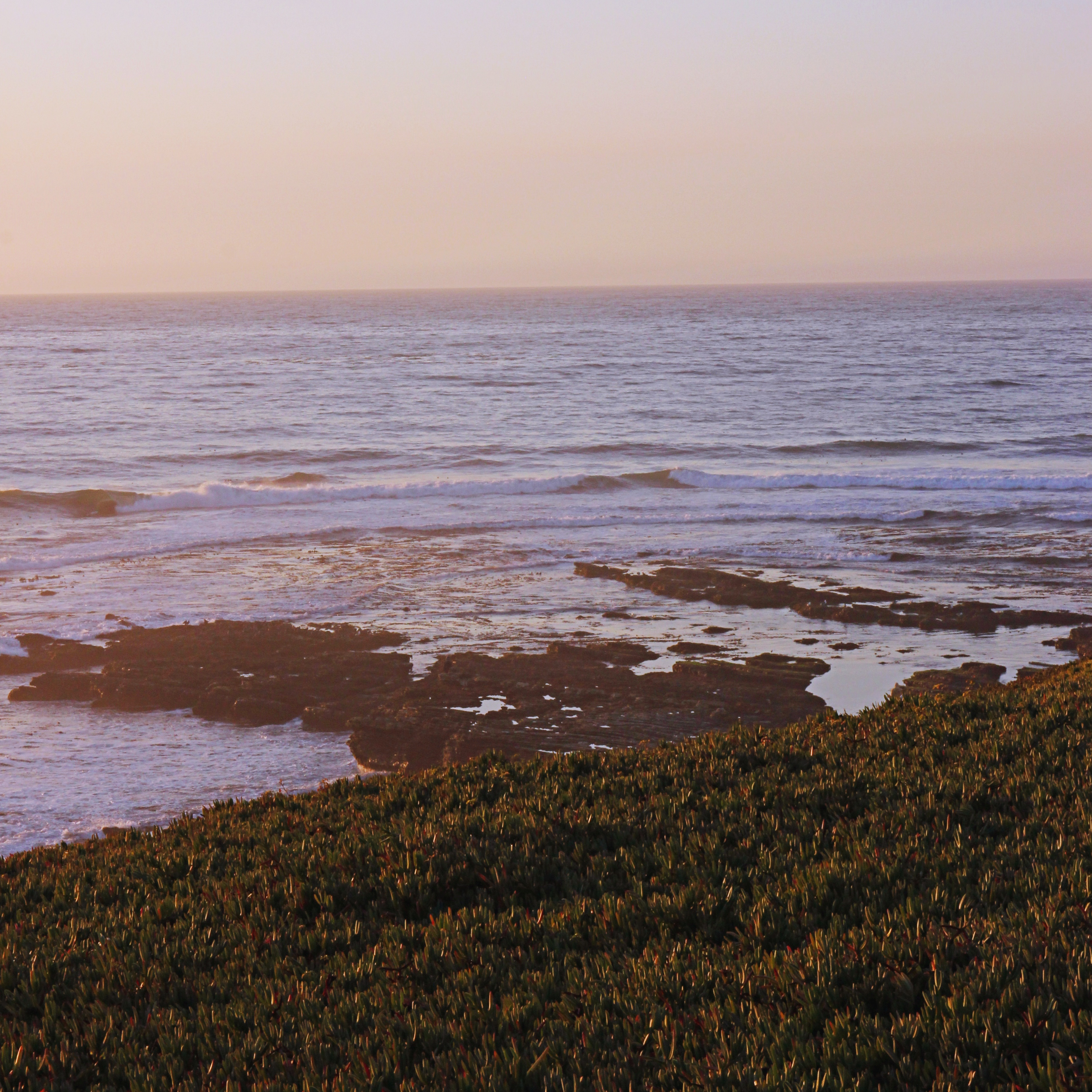 grassy hill overlooking the ocean in low sunset light