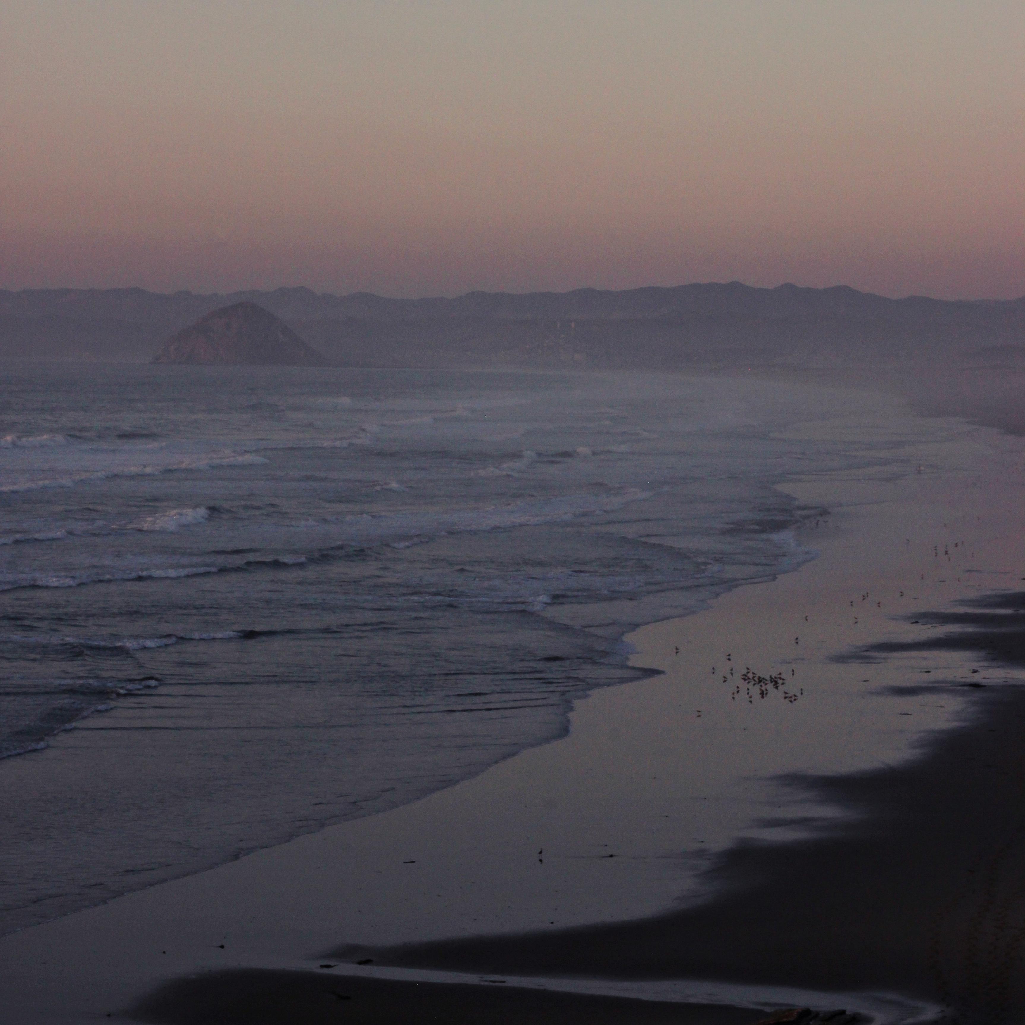 distant view of morro rock in the foggy dawn, gentle waves and sea birds in the foreground