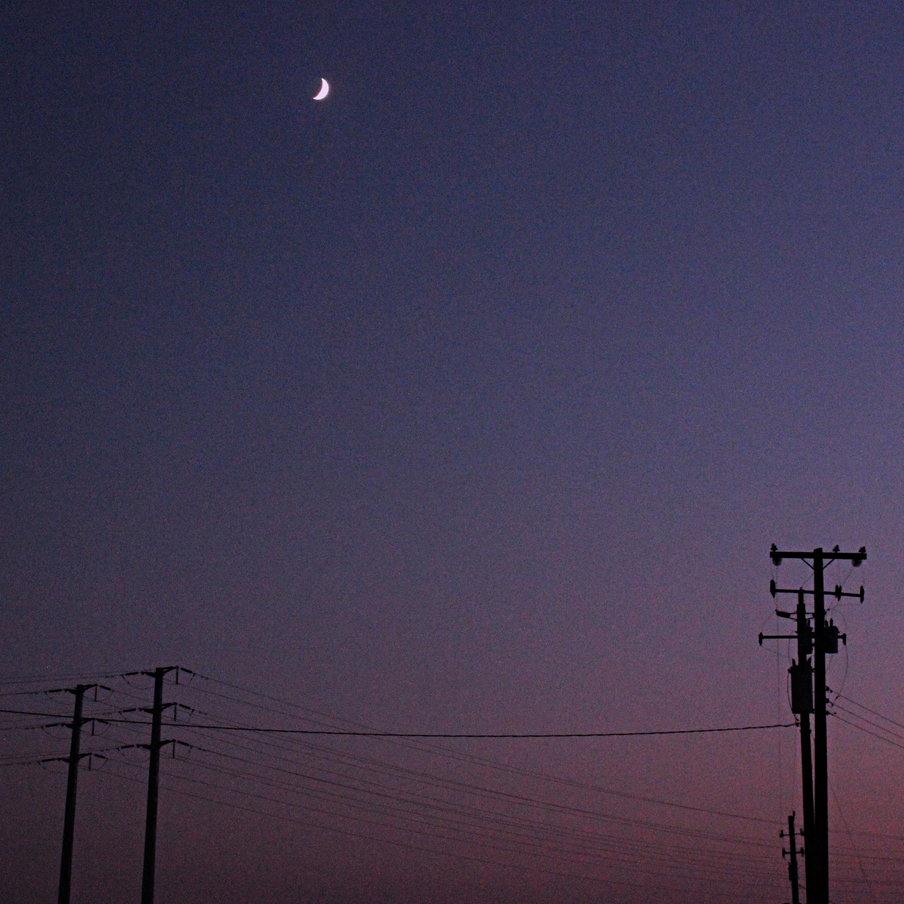 silhouettes of telephone poles in a pink and purple sky underneath a crescent moon