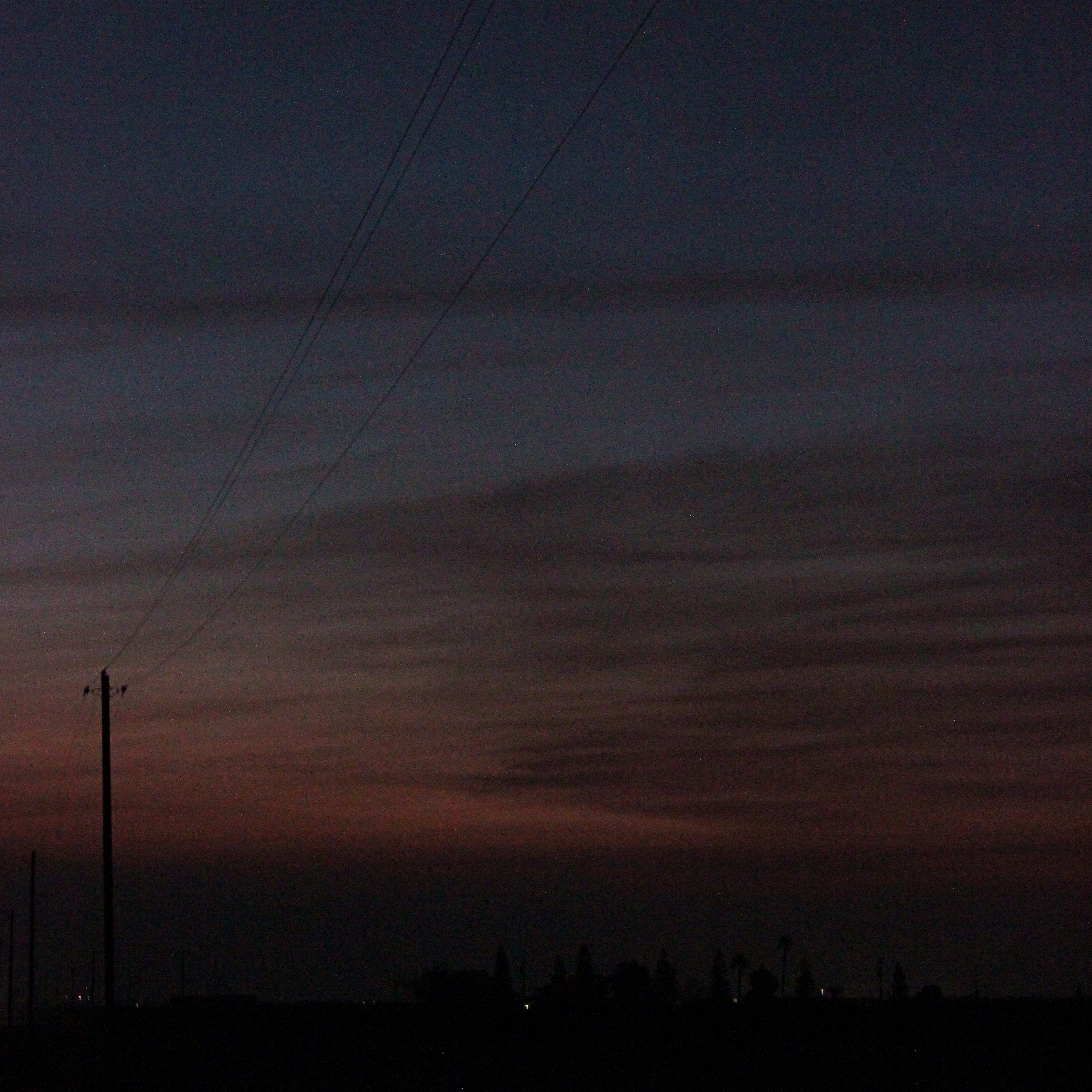telephone pole and wires in the pre-dawn sky with distant city lights in the background