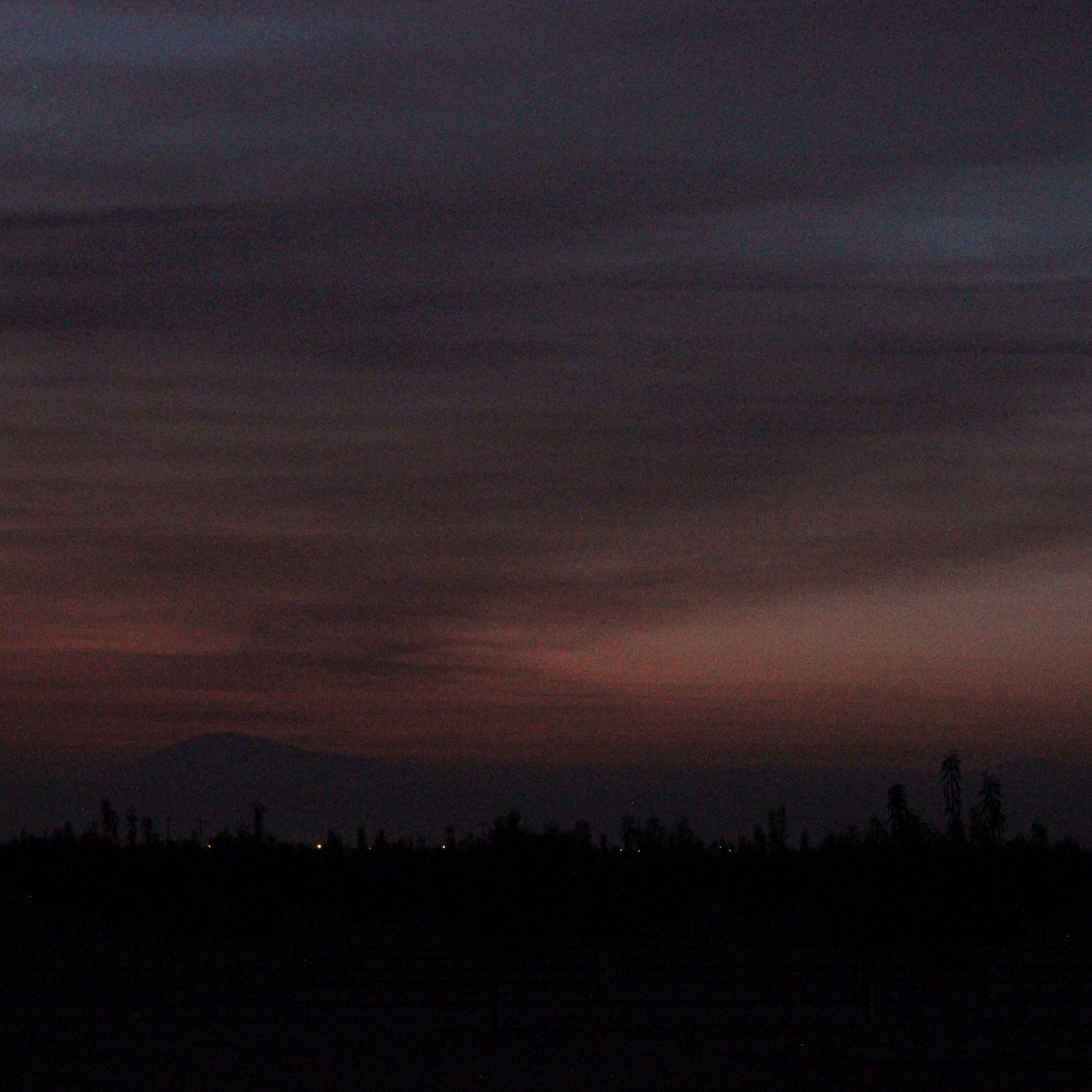 dark sunrise sky above the sillhouette of cacti and a distant hill