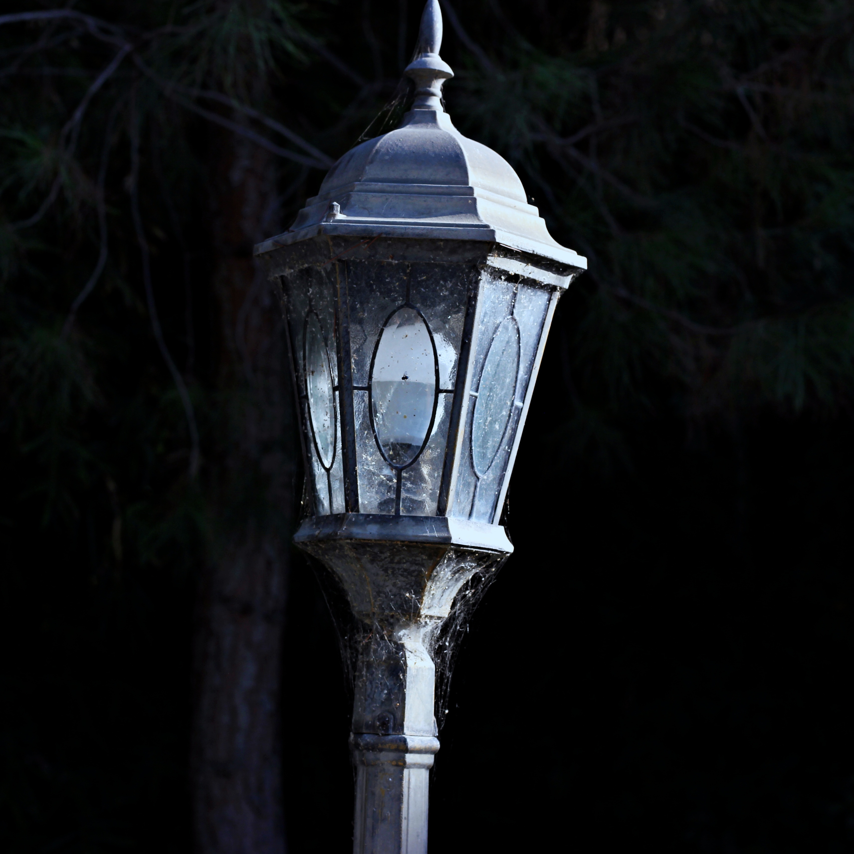 old lamp post covered in spiderwebs with dark shadowy trees in the background