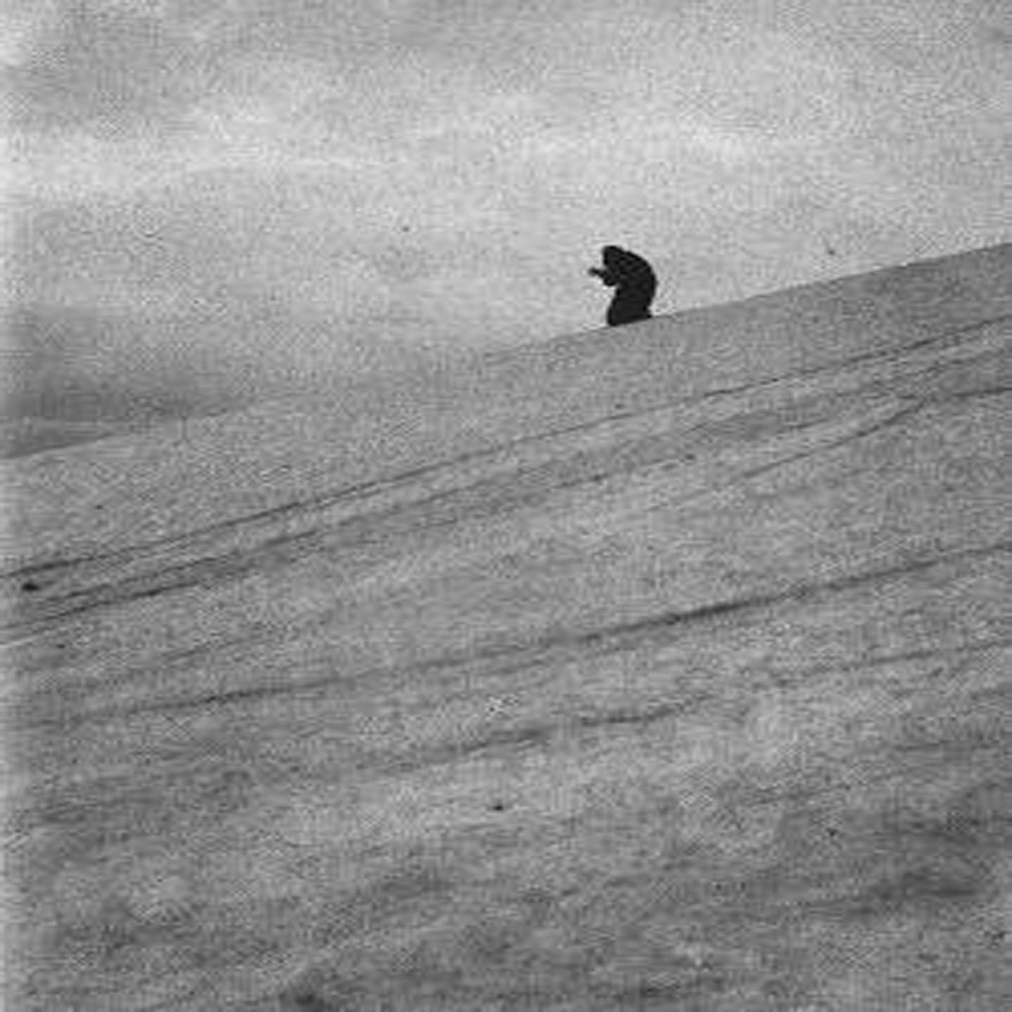 Paysage d'Hiver - Paysage d'Hiver album cover